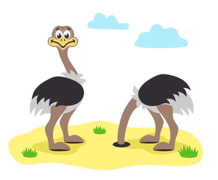 Two cartoon ostrichs in flat style. One of them hid his head in the sand. Vector illustration. 