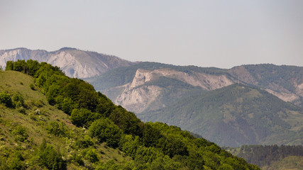 One of the most picturesque mountains in Romania, the Apuseni mountains