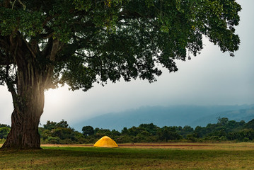 A camping in Ngorongoro Crater ,Tanzania