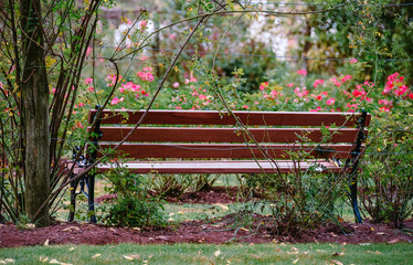 Lonely park bench in a flower garden
