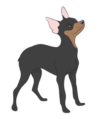 dog vector in the room