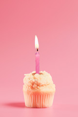 Birthday Cake On Color For The Background