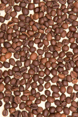 
coffee seeds with colorful backgrounds