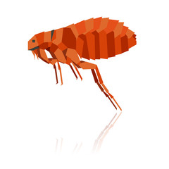 Flat geometric flea