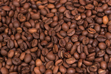 
Coffee seeds with colorful backgrounds