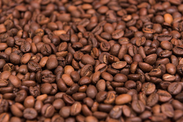 
Coffee seeds with colorful backgrounds