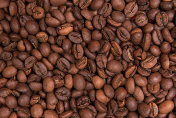 
Coffee seeds with colorful backgrounds