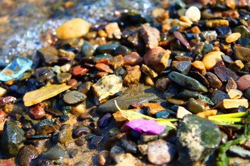 Beach rocks