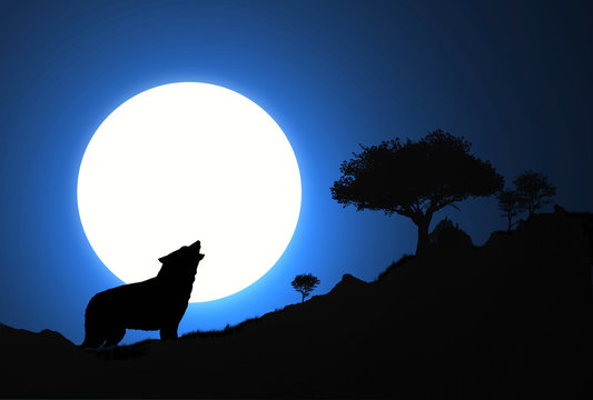Lobo con luna llena, aullido, paisaje con cielo azul iluminado, ilustración.