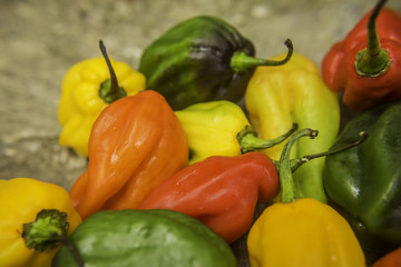 el ají casero