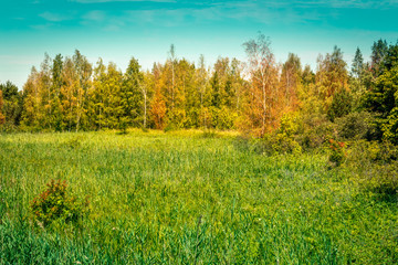 rezerwat przyrody Mewia Łacha - obrazy, fototapety, plakaty