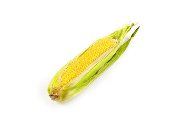 Fresh corn isolated on white background
