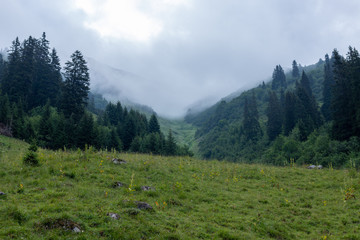 Fototapeta na wymiar Fog in the Mountains