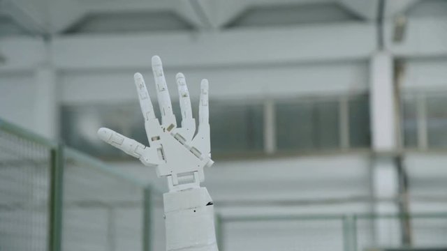 The robotic hand show gestures of opening fingers on the camera. 4K