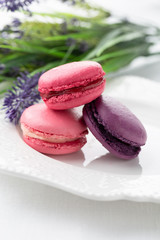 Colourful and sweet Macaroon 