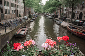 Amsterdam canal, beautiful view of water with reflection. The Netherlands. 