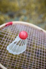 Badminton. Rackets and a shuttlecock