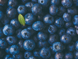 Beautiful blueberries background. Low key blueberries with green leaf. Toned image. Top view or flat lay. Copy space for text.