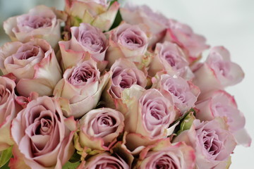 bouquet of lilac roses 