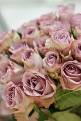 bouquet of lilac roses 