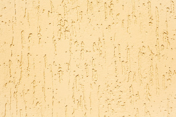 Decorative plaster texture, imitation of a trunk with a trace of a bark beetle