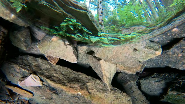 Quellwasser, Quelle, Elsavaquelle, Spessart, Weitwinkel