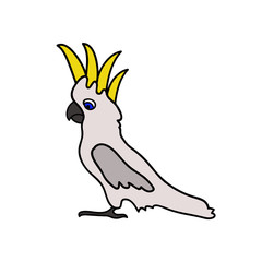cartoon drawing of a cockatoo