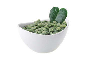 White bowl with green coffee beans on the white