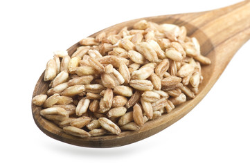 Spoon of Raw Organic Spelt Grain close up on the white