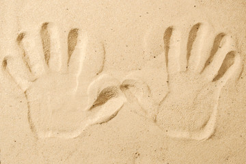 palm traces on sand See this Beach concept