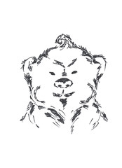 Bear pencildrawing 
