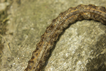 la cabilla doblada