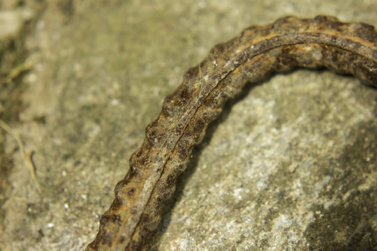la cabilla doblada