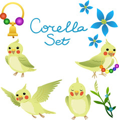 Corella perrots set