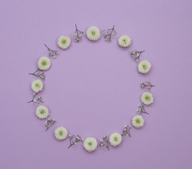 Flower Pattern Top View On Color Paper For Background