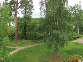 Fototapeta premium Summer landscape - a path in the park, birch and pine