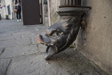 Animal face, Carcassonne