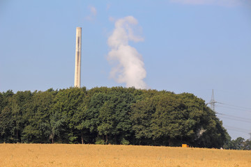 chimney and cool cluds behind trees