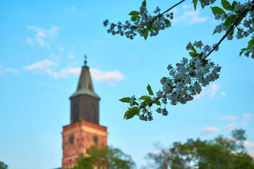 Branch with flowers with old medieval cathedral on a blue cloudy sky  on a blurred background. 