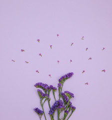 Flower Pattern Top View On Color Paper For Background