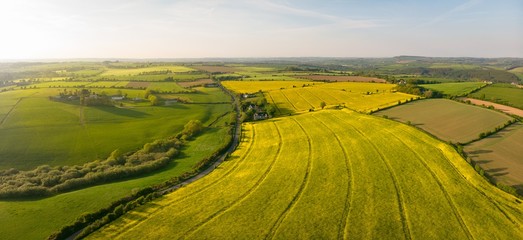 Crops field on a sunny day