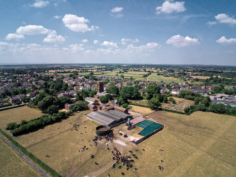 Aerial view on cow farm during dry weather
