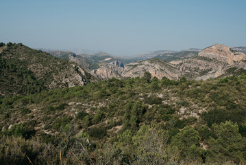Fototapeta na wymiar A lot of rocky hills in the valley covered with green forest in the evening in Spain
