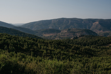 Fototapeta na wymiar Green forest on the hills in the distance in Spain in the evening