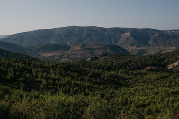 Fototapeta na wymiar Green forest on the beautiful hills in the distance in Spain in the evening