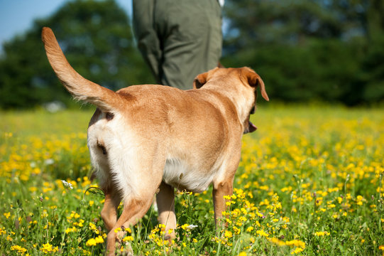 "Spaziergang Images – Browse 84,052 Stock Photos, Vectors, and Video