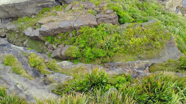 Downward-facing aerial view of New Zealand bush land giving way to rockey cliffs and ocean