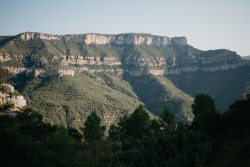 Awesome huge canyon covered with green forest in the evening in Spain