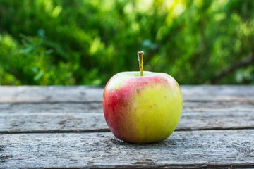 Ripe red and yellow apple on wooden table. Apple in garden. Vegetarian concept. Autumn harvest. Still life food.