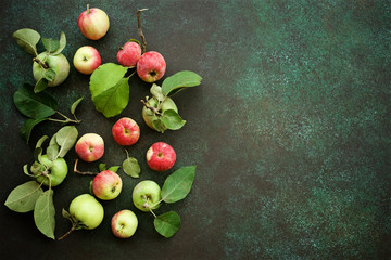 Ripe organic apples on dark green background. Food background, top view. Autumn concept
